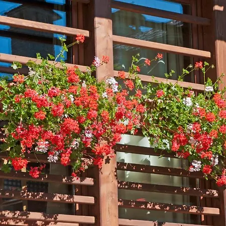 Pietre Gemelle Hotel apartamentowy 3*